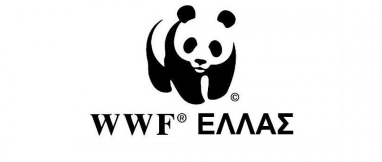 Environmental education "playroom"